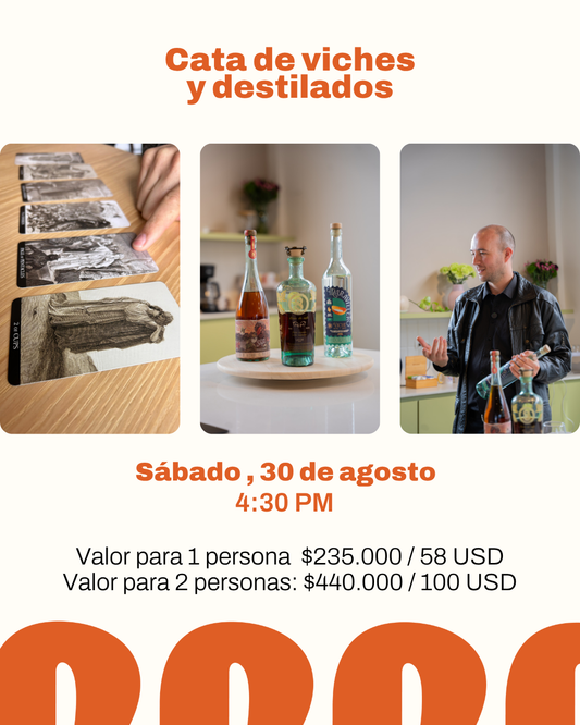Cata de viches y destilados